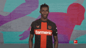 Looking I See You GIF by Bundesliga