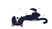 lofielgor music cat sleep chill Sticker