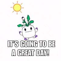 Good Morning Hello GIF by Magic Eden