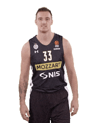 Kkpartizan Sticker by sportmts