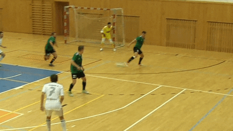 czech-north-media giphyupload sport futsal headshot GIF