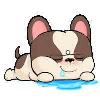 Fun Dog Sticker by UpStudiosWorld