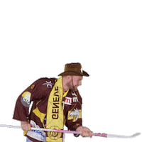 Swipe Up Ice Hockey Sticker by Genève-Servette Hockey Club