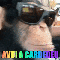GIF by Cultura Cardedeu