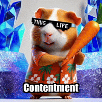 Wisdom Contentment GIF by Guinea Gambino