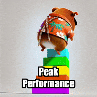 Guinea Pig Mountains GIF by Guinea Gambino