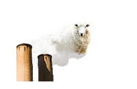 42-BELOW environment vodka sheep climate Sticker