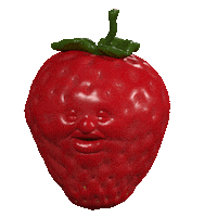 time frame strawberry Sticker by jellygummies