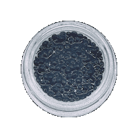 Black Caviar Serum Sticker by Inalia