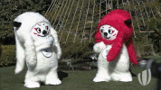 rugby world cup japan GIF by World Rugby