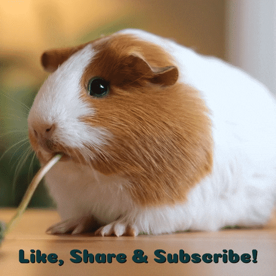 Guinea Pig Toy GIF by TeaCosyFolk