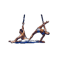 Circus Splits Sticker by Ringling Bros. and Barnum & Bailey