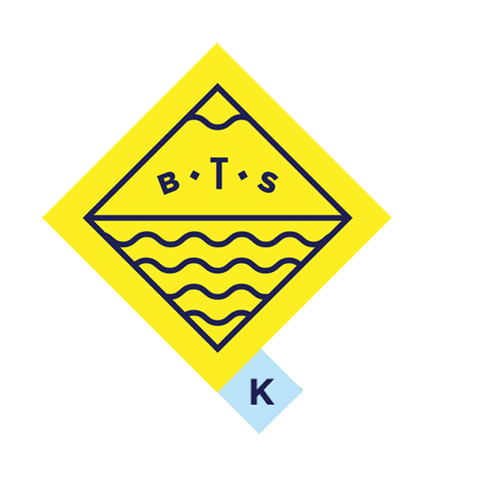Bts Sticker by Beyond the Standard