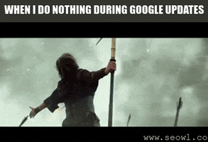seowl_app  GIF