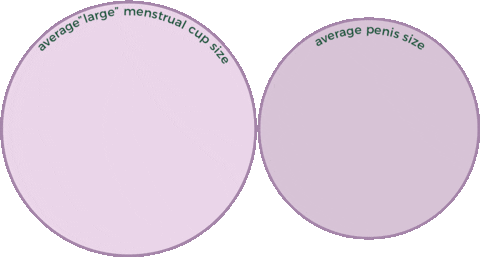 Anatomy Menstrual Cup Sticker by Period Nirvana