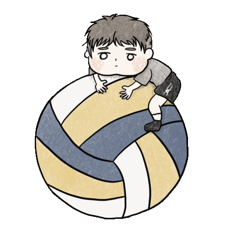 Sport Volleyball Sticker