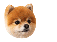 헨로포우 Sticker by henlopaw.official