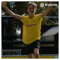 Borussia Dortmund Dreaming GIF by Evonik