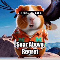 Freedom Wisdom GIF by Guinea Gambino