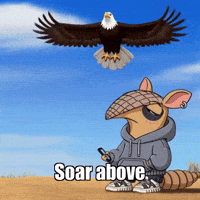 GIF by Chillo Dillo