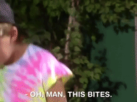 salute your shorts nicksplat GIF