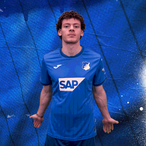 Sport Bundesliga GIF by TSG Hoffenheim