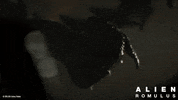 Alienmovie GIF by 20th Century Studios