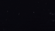 Team Usa Sport GIF by U.S. Ski & Snowboard Team