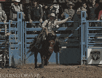 Taming Crazy Horse GIF
