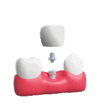 Teeth Dentist Sticker by DualClinic