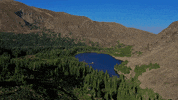 GIF by Blueforest Studios