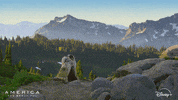 Fight America GIF by Nat Geo Wild