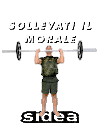 Fitness Palestra Sticker by Sidea