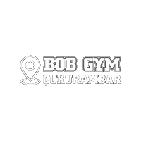 Bobgymcukurambar Sticker by bob gym