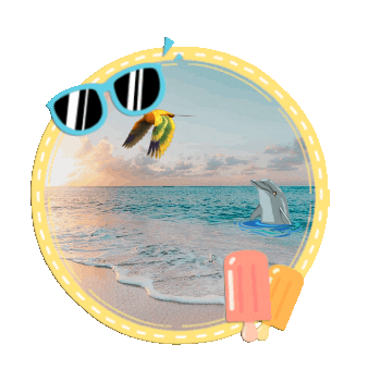 Fun Summer Sticker