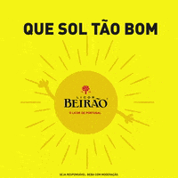 Festa Sol GIF by Licor Beirão