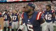 Football Nfl GIF by New England Patriots