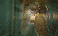 Daddys Home GIF by St. Vincent