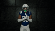 Football Sport GIF by Indianapolis Colts