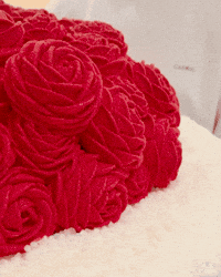 Monte Carlo Monaco GIF by Cedric Grolet