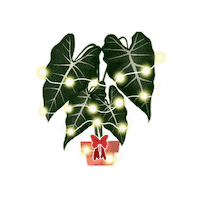 Christmas Lights Sticker