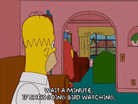 homer simpson GIF