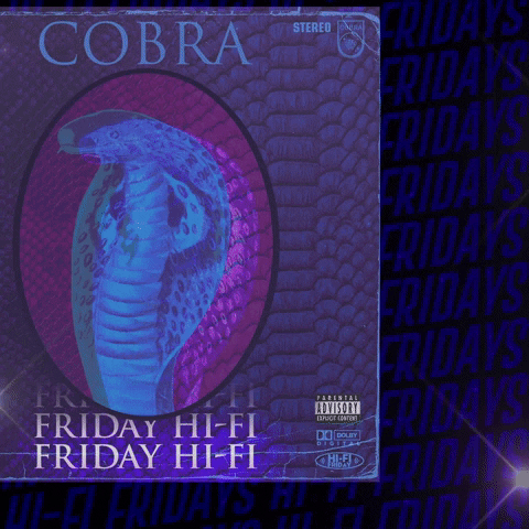 Party Friday GIF by Cobra