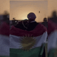 Flag Al GIF