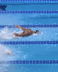 Olympic Games Olympics GIF by Team USA