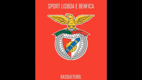 Basquetebol Benfica GIF by Canterbury Basketball Academy