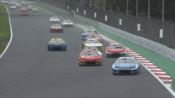 Kyle Busch Mexico GIF by NASCAR
