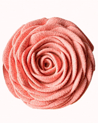 Flower GIF by Cedric Grolet