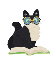 StoryPirates cats funny cats caturday story pirates Sticker
