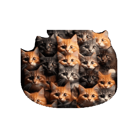 DatFatGat giphygifmaker Sticker